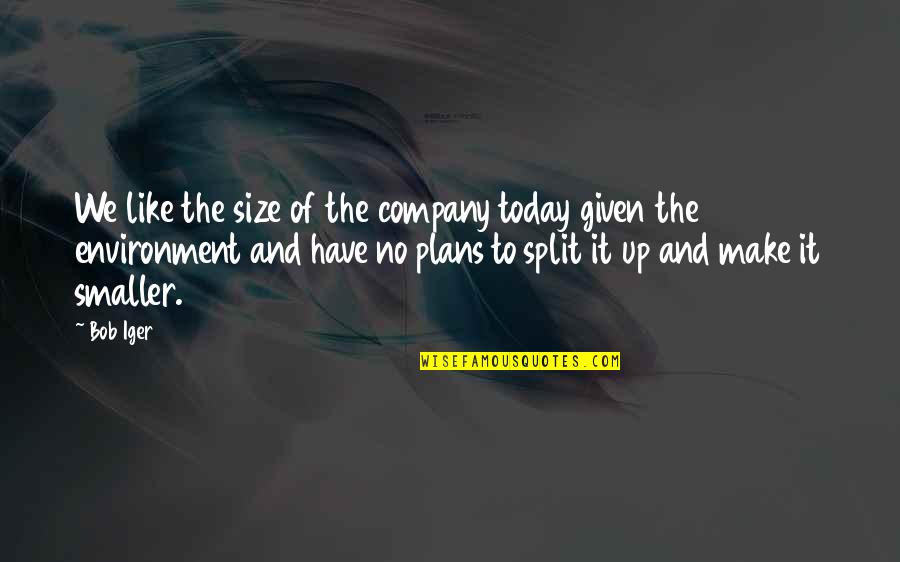 Environment Today Quotes By Bob Iger: We like the size of the company today Environment Today Quotes By Bob Iger: We like the size of the company today