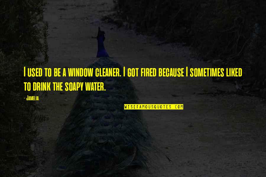 Environmental Concerns Quotes By Jamelia: I used to be a window cleaner. I Environmental Concerns Quotes By Jamelia: I used to be a window cleaner. I