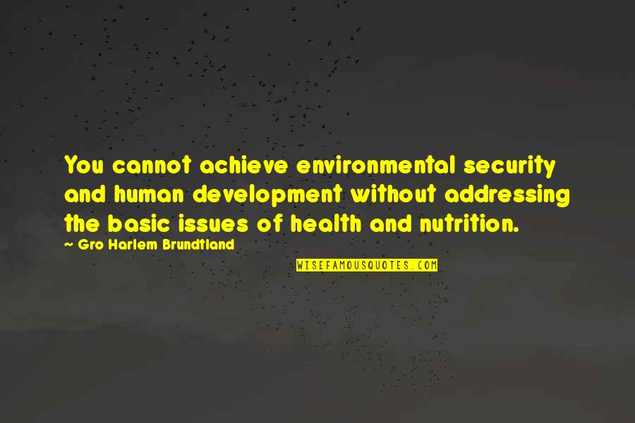 Environmental Health Quotes By Gro Harlem Brundtland: You cannot achieve environmental security and human development