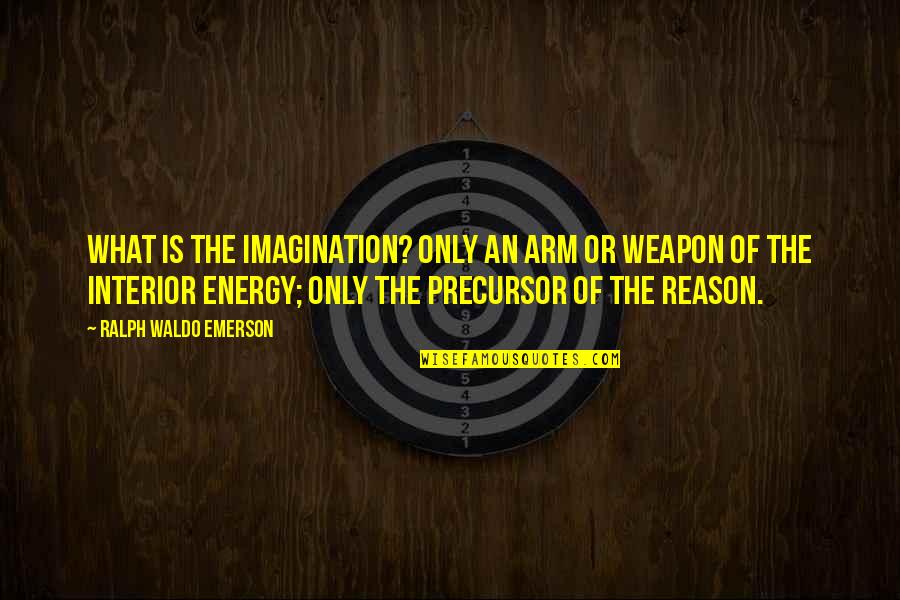 Environmental Protection And Conservation Quotes By Ralph Waldo Emerson: What is the imagination? Only an arm or