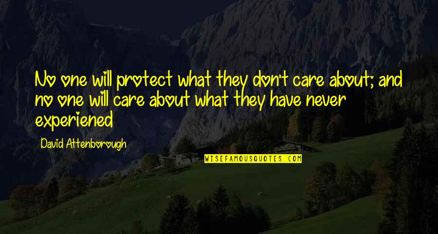 Environmentalism's Quotes By David Attenborough: No one will protect what they don't care