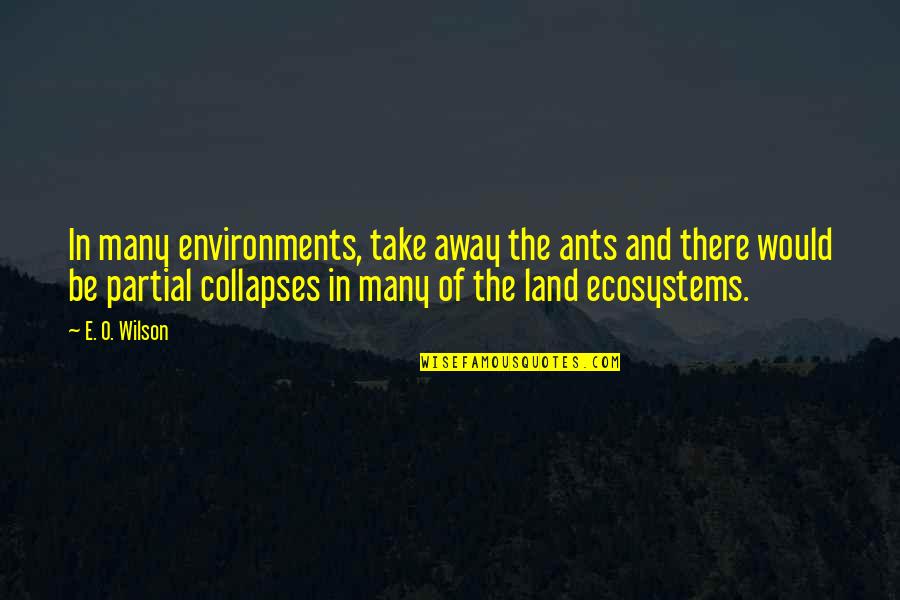 Environments Quotes By E. O. Wilson: In many environments, take away the ants and