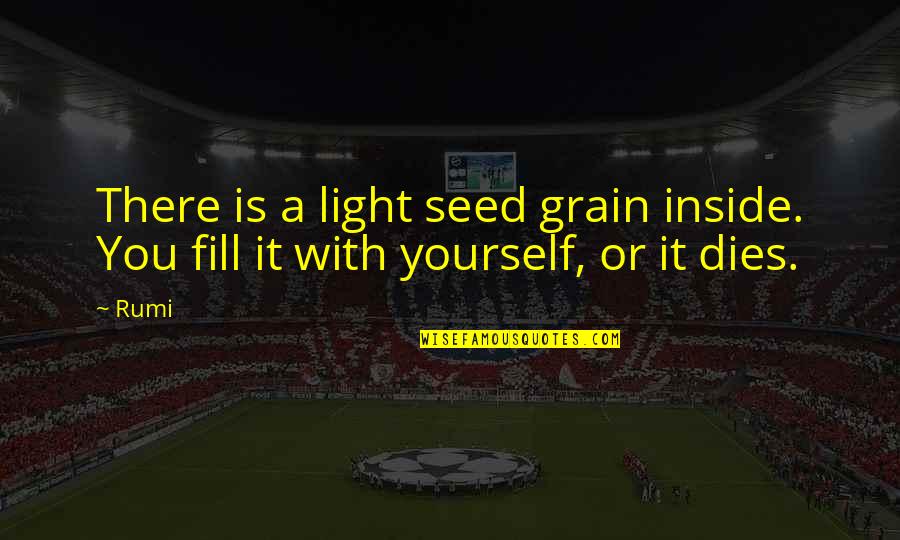 Envisager Viager Quotes By Rumi: There is a light seed grain inside. You