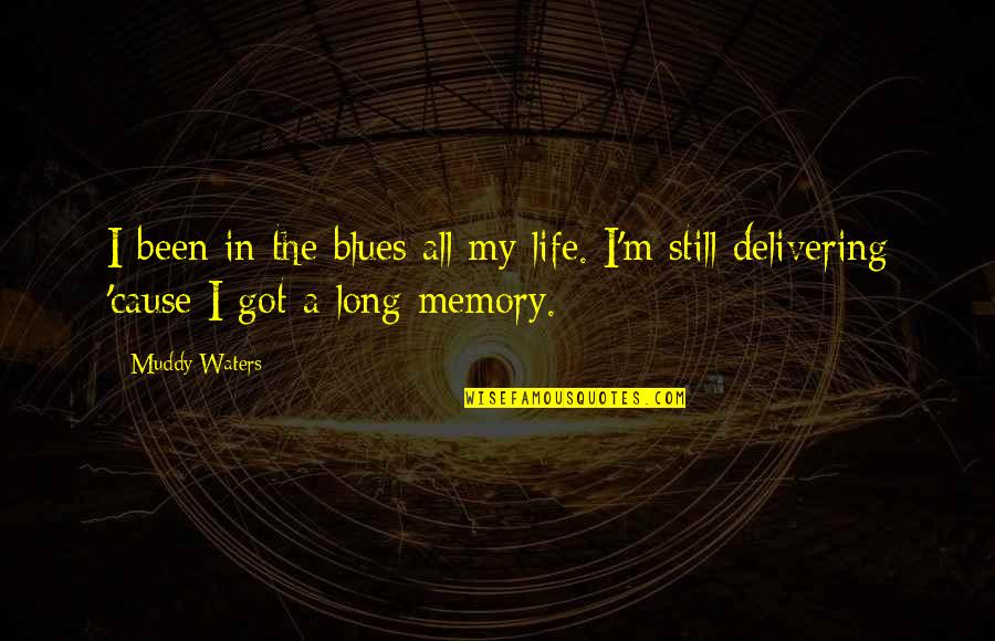 Envy Biblical Quotes By Muddy Waters: I been in the blues all my life.