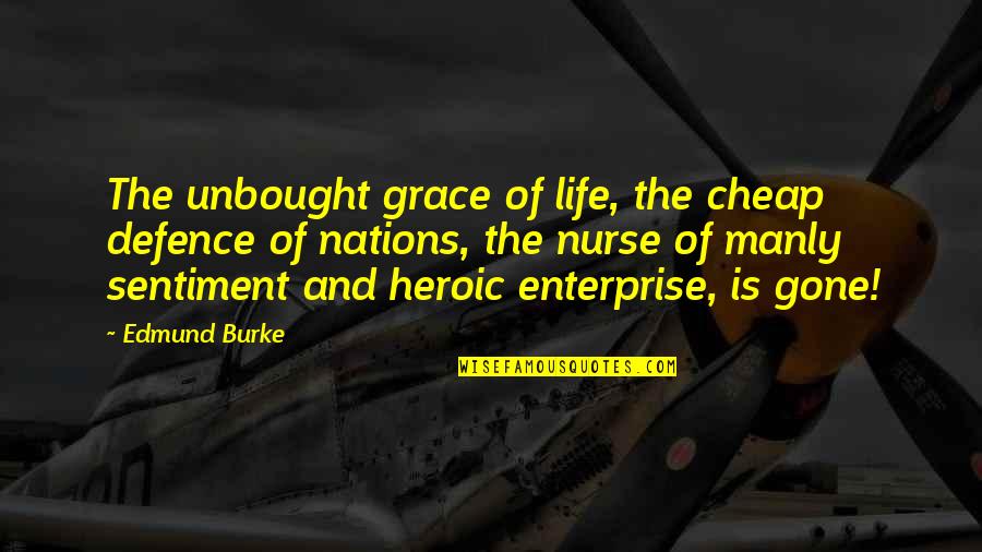 Envy Neighbor Quotes By Edmund Burke: The unbought grace of life, the cheap defence