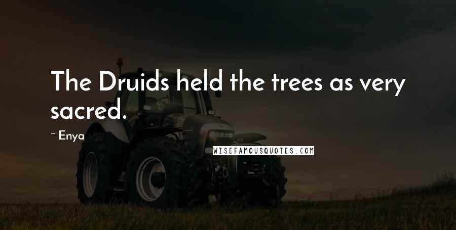 Enya quotes: The Druids held the trees as very sacred.