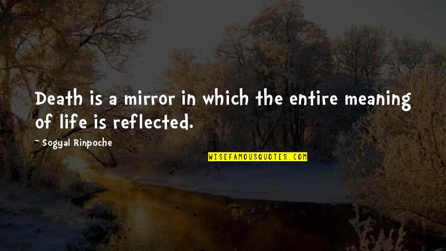 Enything Quotes By Sogyal Rinpoche: Death is a mirror in which the entire