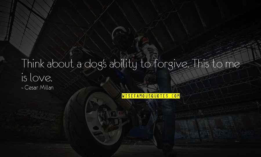Enzointl Quotes By Cesar Millan: Think about a dog's ability to forgive. This Enzointl Quotes By Cesar Millan: Think about a dog's ability to forgive. This