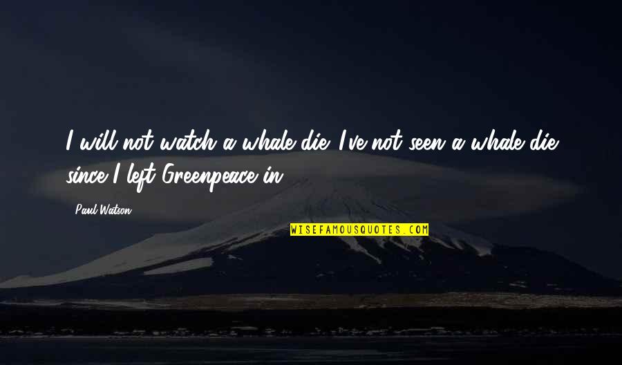 Eo Quotes By Paul Watson: I will not watch a whale die. I've