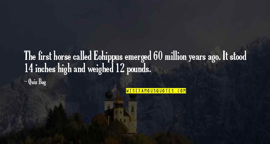 Eohippus Quotes By Quiz Bug: The first horse called Eohippus emerged 60 million Eohippus Quotes By Quiz Bug: The first horse called Eohippus emerged 60 million