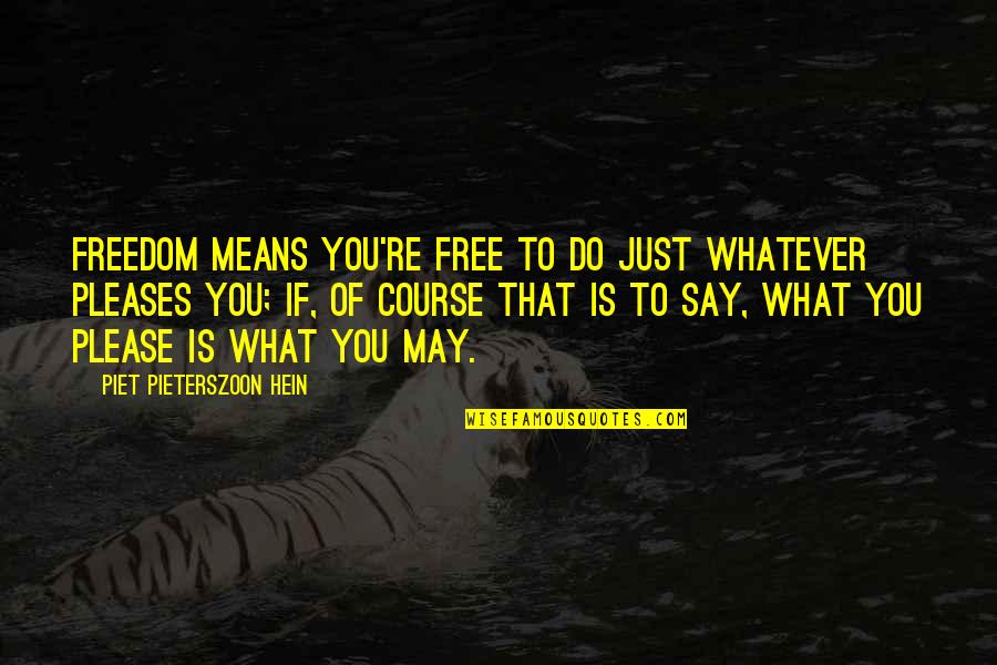 Eoin Finn Quotes By Piet Pieterszoon Hein: Freedom means you're free to do just whatever