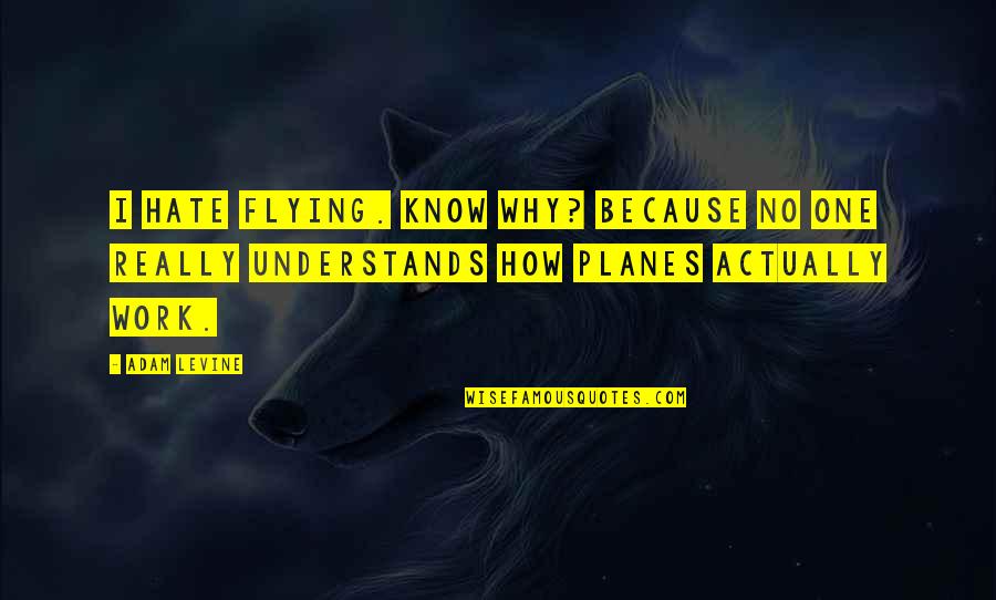 Eoliennes Fonctionnement Quotes By Adam Levine: I hate flying. Know why? Because no one