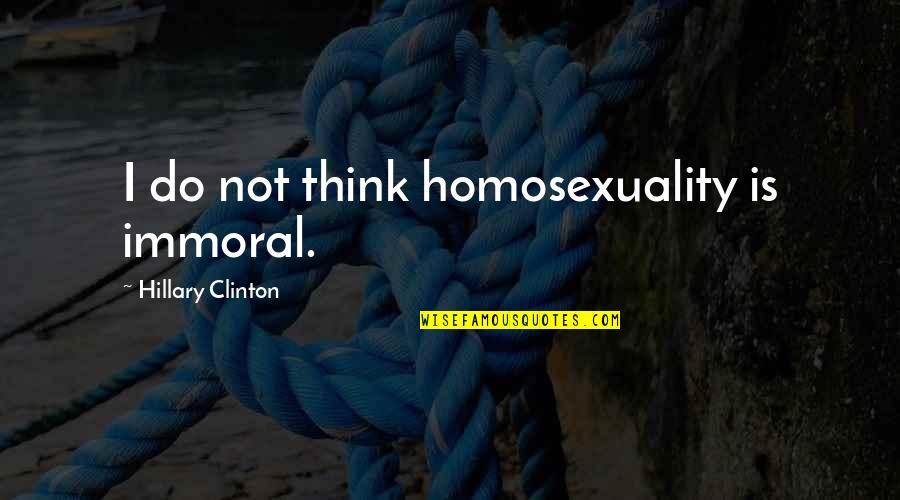 Eph 4 Quotes By Hillary Clinton: I do not think homosexuality is immoral.