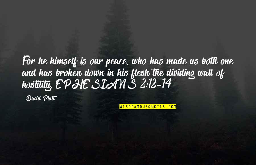 Ephesians 5 Quotes By David Platt: For he himself is our peace, who has