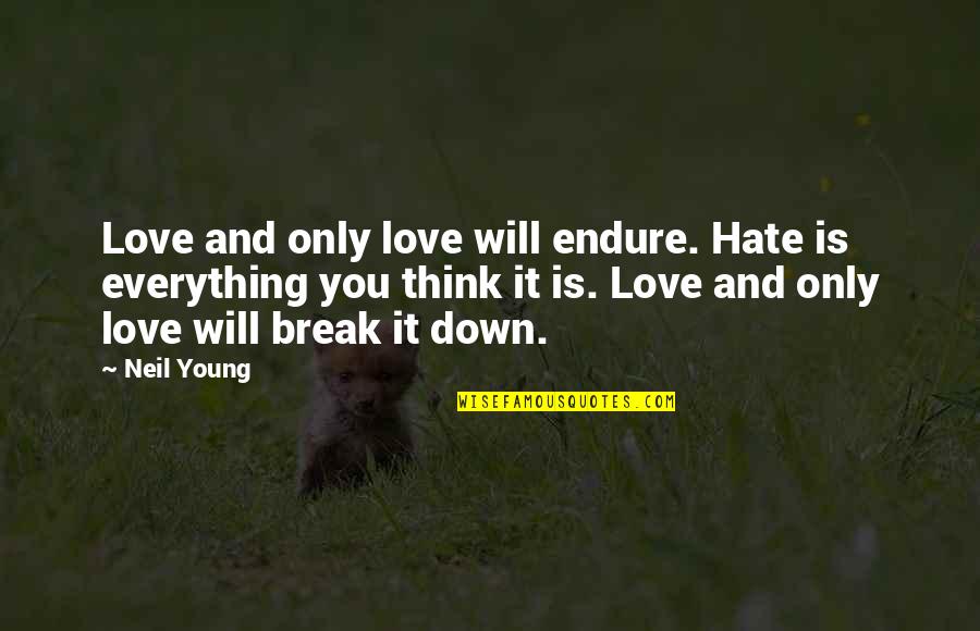 Ephigenia Quotes By Neil Young: Love and only love will endure. Hate is
