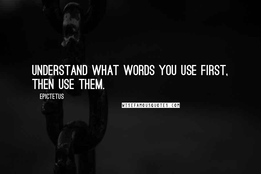 Epictetus quotes: Understand what words you use first, then use them.