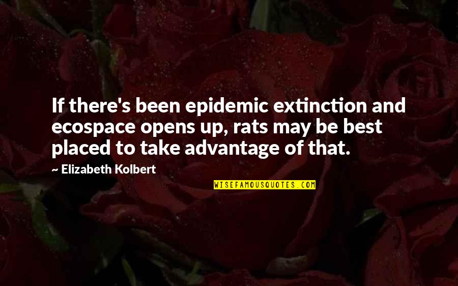 Epidemic Of Quotes By Elizabeth Kolbert: If there's been epidemic extinction and ecospace opens Epidemic Of Quotes By Elizabeth Kolbert: If there's been epidemic extinction and ecospace opens
