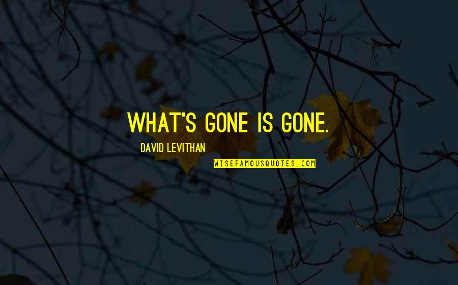 Epidemiologist Job Quotes By David Levithan: What's gone is gone.