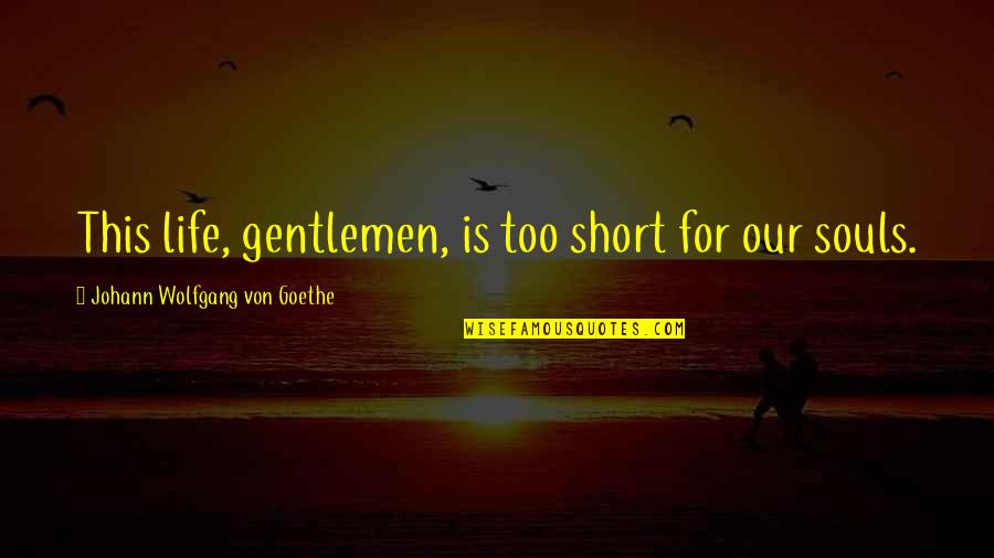 Epigrammatically Quotes By Johann Wolfgang Von Goethe: This life, gentlemen, is too short for our