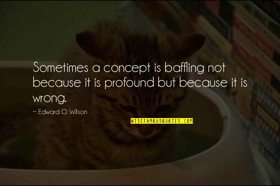 Epileptic Spasms Quotes By Edward O. Wilson: Sometimes a concept is baffling not because it Epileptic Spasms Quotes By Edward O. Wilson: Sometimes a concept is baffling not because it