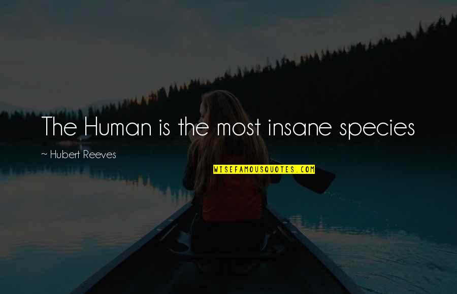 Epileptics Punk Quotes By Hubert Reeves: The Human is the most insane species Epileptics Punk Quotes By Hubert Reeves: The Human is the most insane species