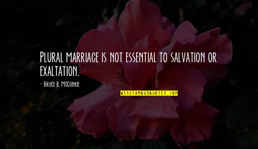 Equal Pay Famous Quotes By Bruce R. McConkie: Plural marriage is not essential to salvation or