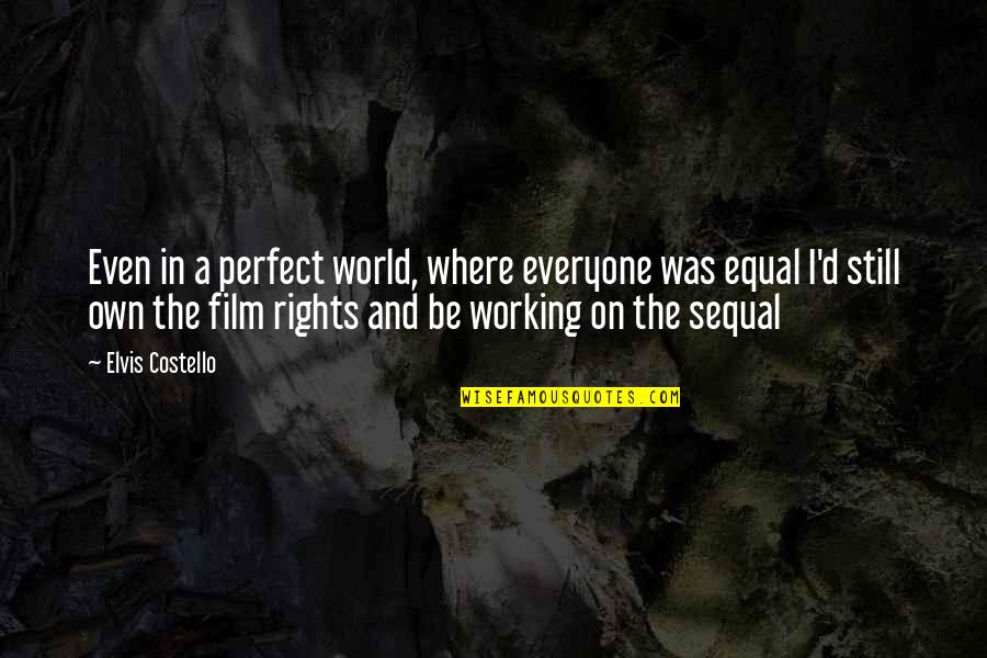 Equal Rights For All Quotes By Elvis Costello: Even in a perfect world, where everyone was