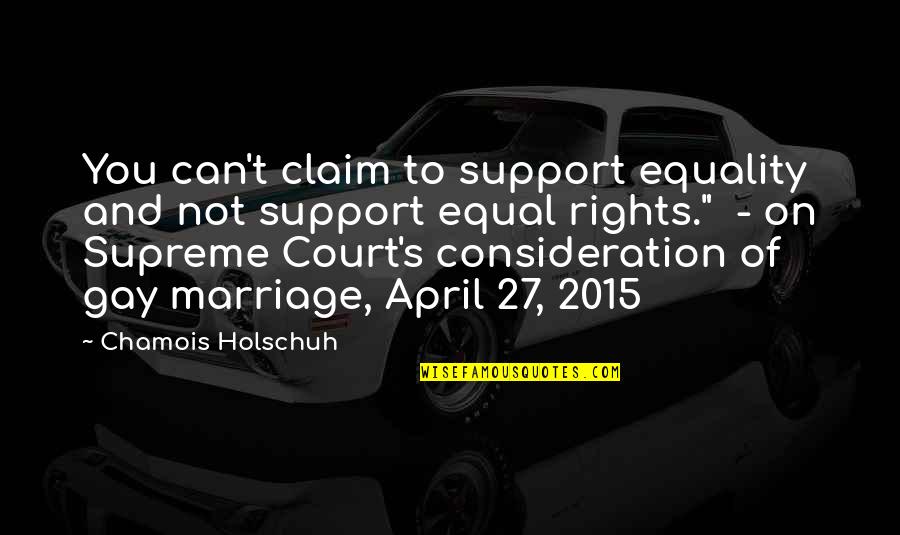 Equality Gay Marriage Quotes By Chamois Holschuh: You can't claim to support equality and not