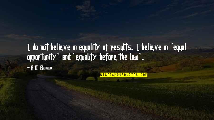 Equality In The Constitution Quotes By A.E. Samaan: I do not believe in equality of results.