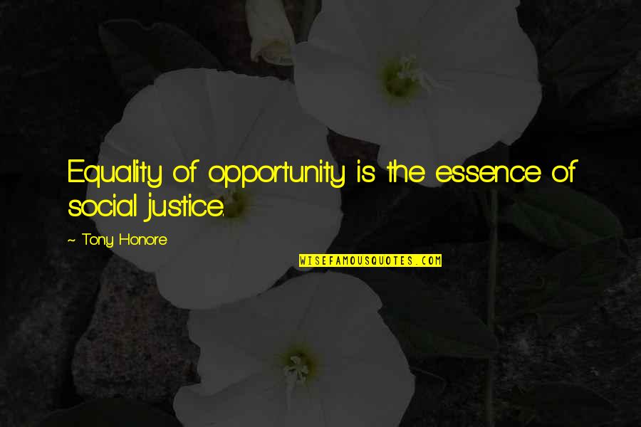 Equality Justice Quotes By Tony Honore: Equality of opportunity is the essence of social