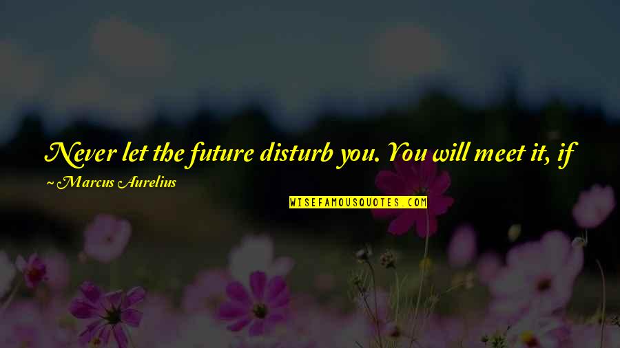 Equanimity Quotes By Marcus Aurelius: Never let the future disturb you. You will