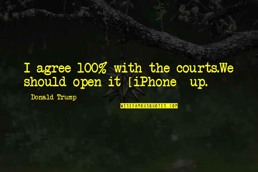 Equation For Success Quotes By Donald Trump: I agree 100% with the courts.We should open