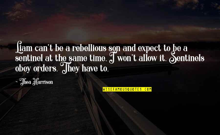 Equestrian Drill Team Quotes By Thea Harrison: Liam can't be a rebellious son and expect Equestrian Drill Team Quotes By Thea Harrison: Liam can't be a rebellious son and expect