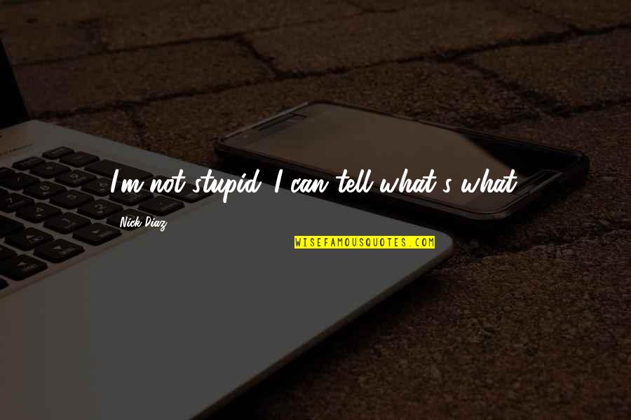 Equestrianism Is A Sport Quotes By Nick Diaz: I'm not stupid. I can tell what's what. Equestrianism Is A Sport Quotes By Nick Diaz: I'm not stupid. I can tell what's what.