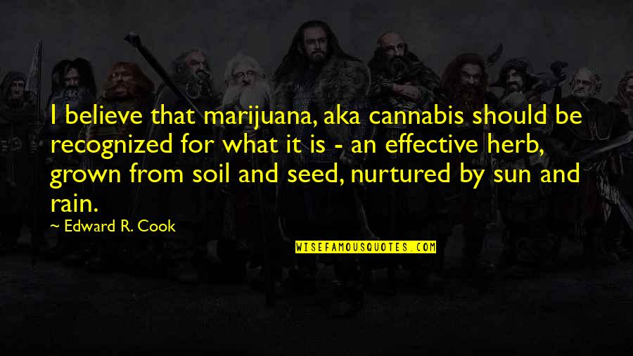 Equitable School Quotes By Edward R. Cook: I believe that marijuana, aka cannabis should be Equitable School Quotes By Edward R. Cook: I believe that marijuana, aka cannabis should be