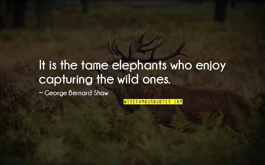 Equivalences Quotes By George Bernard Shaw: It is the tame elephants who enjoy capturing