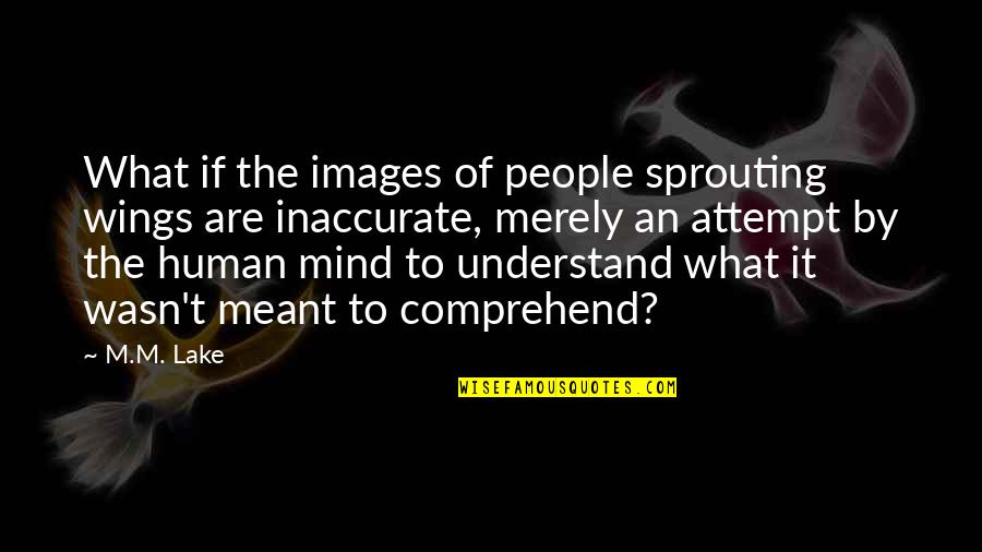 Equivocarse Quotes By M.M. Lake: What if the images of people sprouting wings
