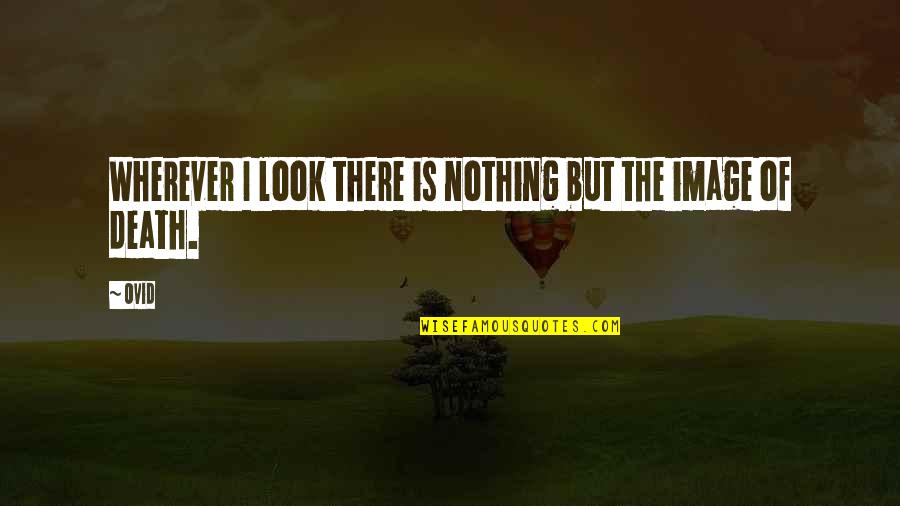 Eraan Denken Quotes By Ovid: Wherever I look there is nothing but the