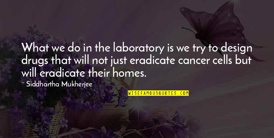 Eradicate Quotes By Siddhartha Mukherjee: What we do in the laboratory is we