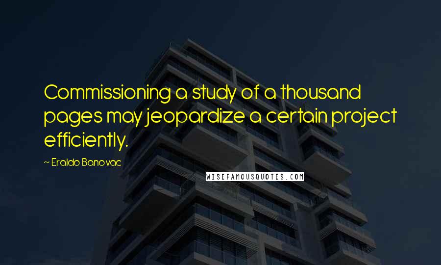 Eraldo Banovac quotes: Commissioning a study of a thousand pages may jeopardize a certain project efficiently.
