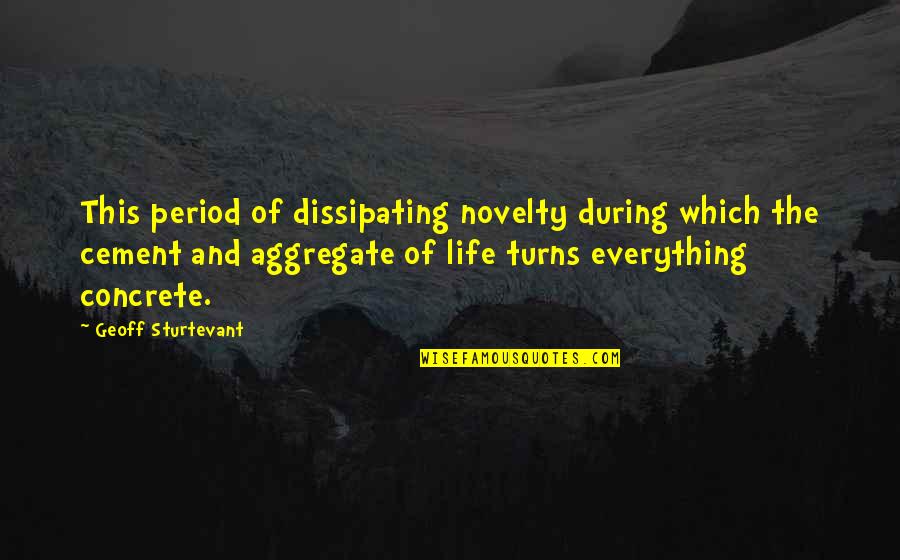 Erasable Ink Quotes By Geoff Sturtevant: This period of dissipating novelty during which the