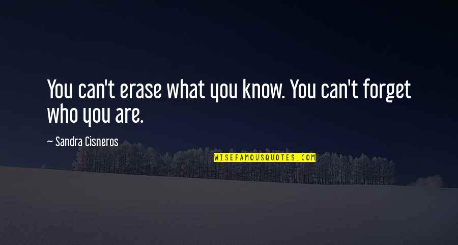 Erase You Quotes By Sandra Cisneros: You can't erase what you know. You can't