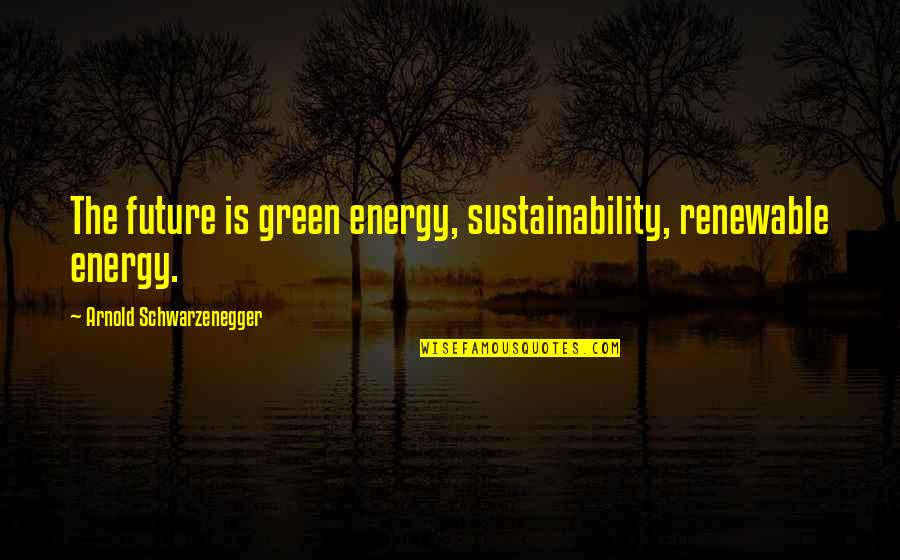 Erasers Quotes By Arnold Schwarzenegger: The future is green energy, sustainability, renewable energy.