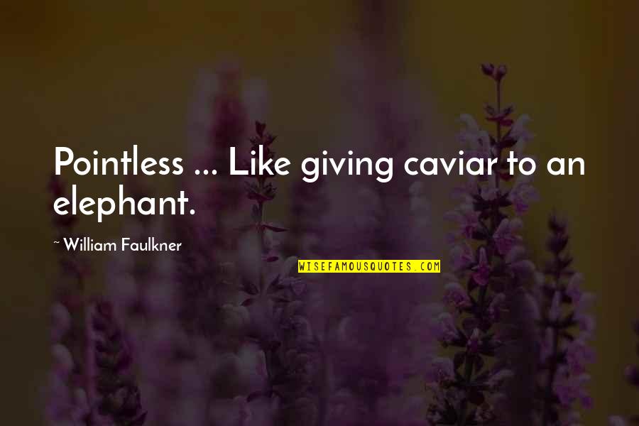 Erasto Buchegende Quotes By William Faulkner: Pointless ... Like giving caviar to an elephant.