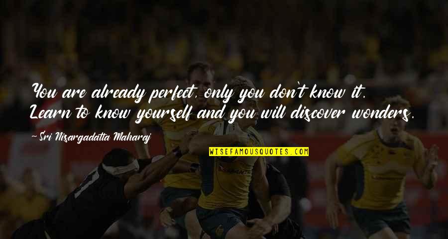 Erawan Bayside Quotes By Sri Nisargadatta Maharaj: You are already perfect, only you don't know Erawan Bayside Quotes By Sri Nisargadatta Maharaj: You are already perfect, only you don't know