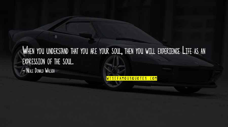 Erayba Quotes By Neale Donald Walsch: When you understand that you are your soul,