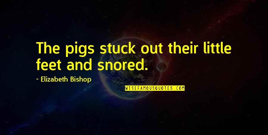 Ercelle Jordan Quotes By Elizabeth Bishop: The pigs stuck out their little feet and