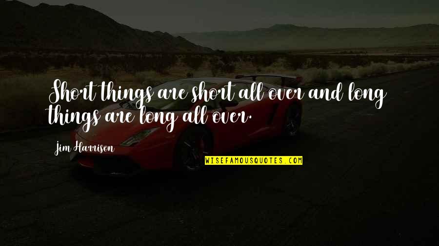 Erdbeben Aktuell Quotes By Jim Harrison: Short things are short all over and long
