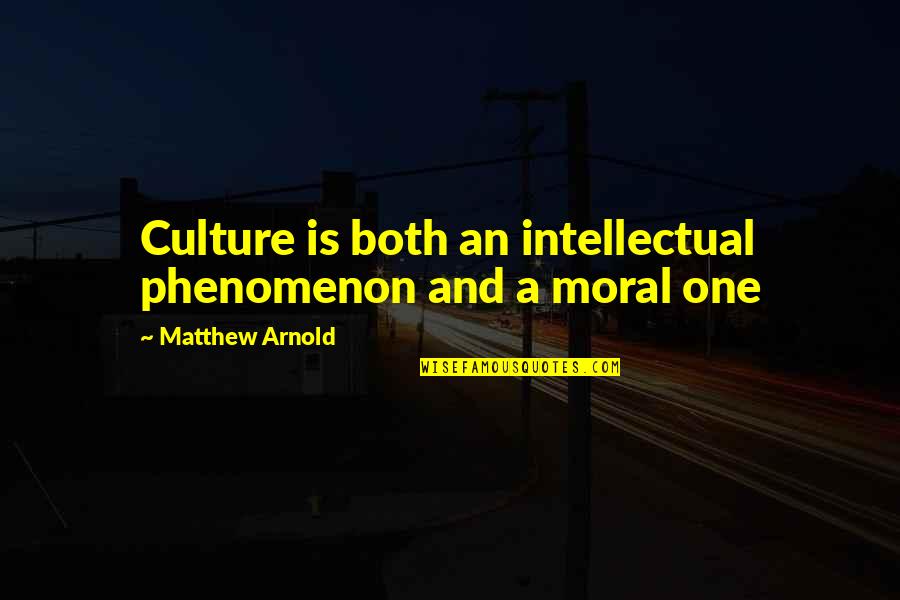 Erdine Chester Quotes By Matthew Arnold: Culture is both an intellectual phenomenon and a