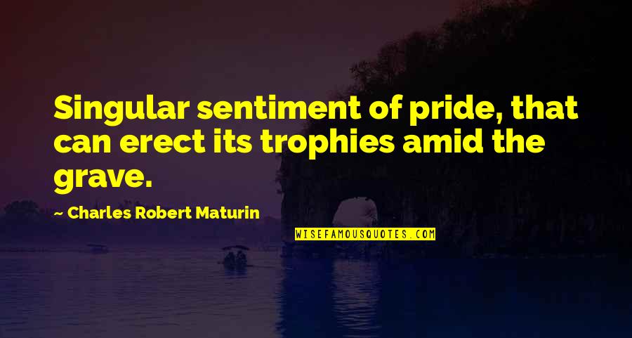 Erect Quotes By Charles Robert Maturin: Singular sentiment of pride, that can erect its
